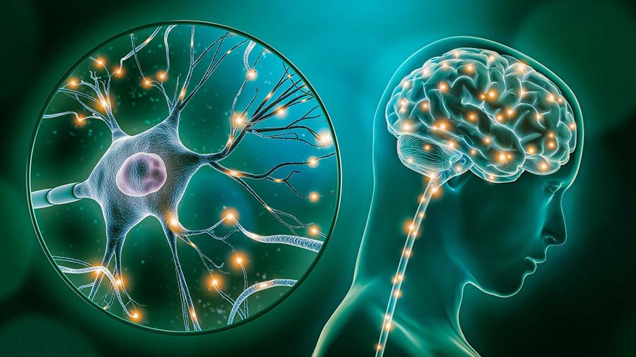 qué es la neuropsicología